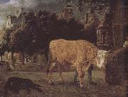 Square cattle, Jan van der Heyden